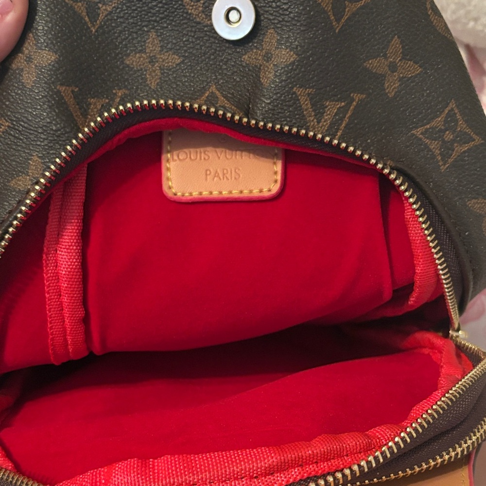 Louis Vuitton Monogram Belt Bag - Brown and Tan - Picture 2 of 3